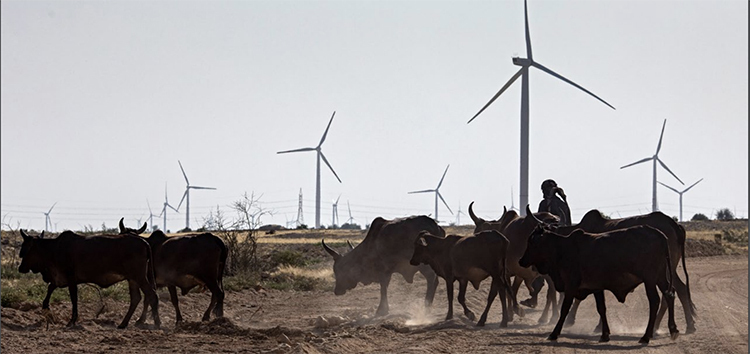Photo: IFC / Khaula Jamil Photo: IFC / Khaula Jamil