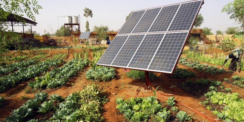 Des progrès notés dans l'agriculture et l'énergie dans le cadre de la mise en oeuvre du Pse.