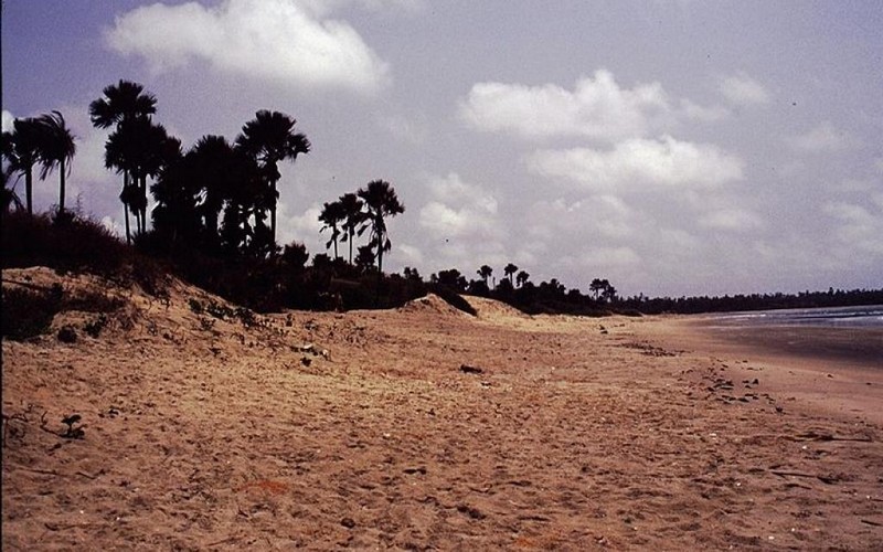 L'expansion des usines de farine et d'huile de poisson agace la communauté des agriculteurs de Gunjur. L'expansion des usines de farine et d'huile de poisson agace la communauté des agriculteurs de Gunjur.