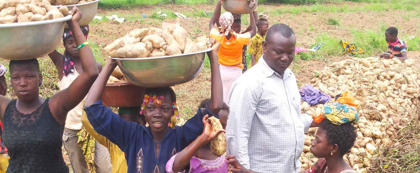 Agriculture et agro-industries-Burkina Faso: de belles perspectives s’annoncent pour 2025 Agriculture et agro-industries-Burkina Faso: de belles perspectives s’annoncent pour 2025