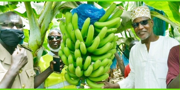 Projet yelitaare Projet yelitaare