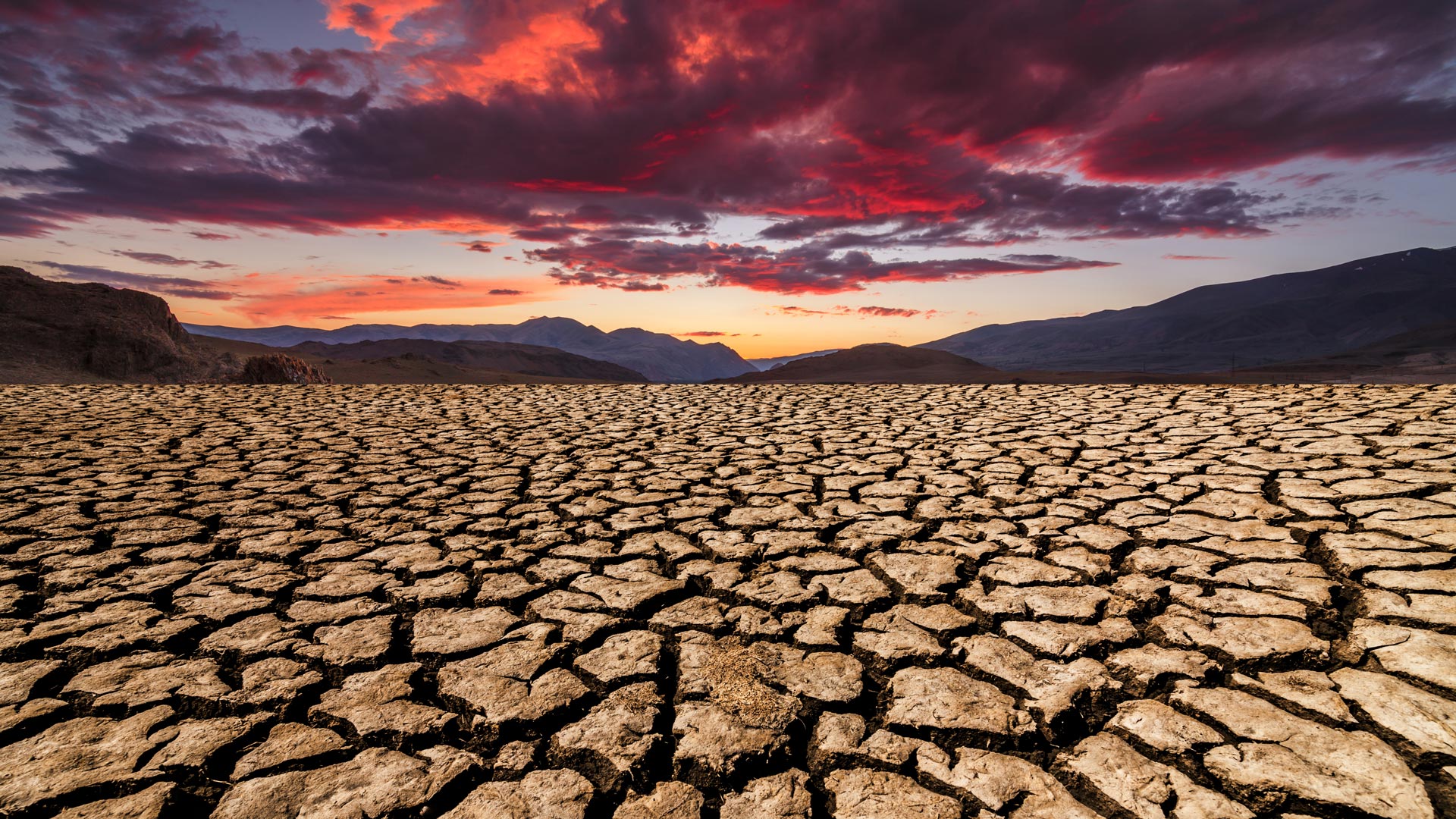 (PHOTO : GETTY IMAGES) (PHOTO : GETTY IMAGES)