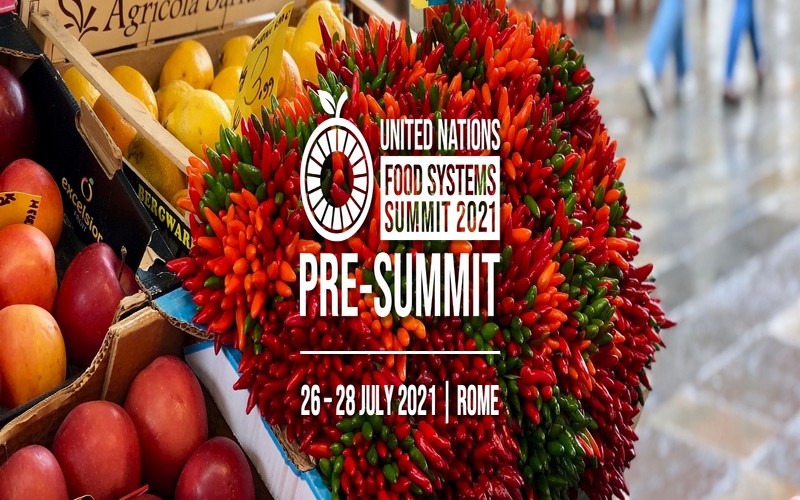 Pré-sommet des Nations Unies sur les systèmes alimentaires. Pré-sommet des Nations Unies sur les systèmes alimentaires.