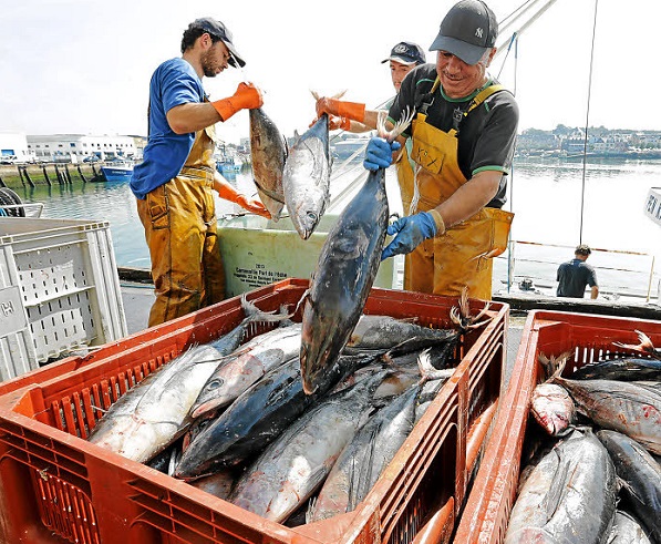 Accords de pêche Ue et Afrique de l'ouest. Accords de pêche Ue et Afrique de l'ouest.