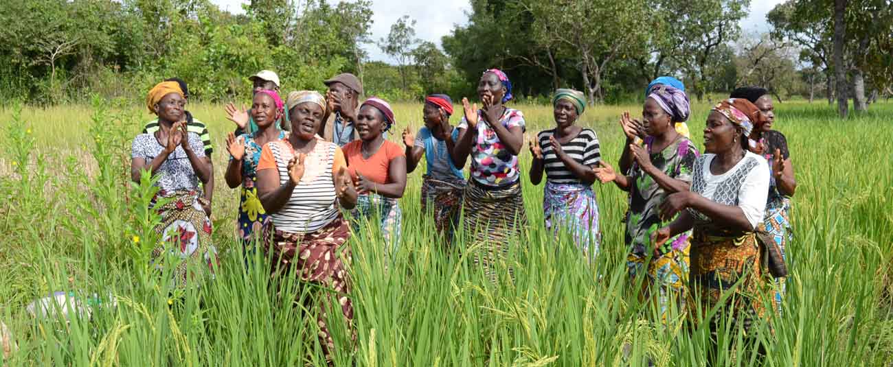 Bénin: la production vivrière en bonne voie Bénin: la production vivrière en bonne voie