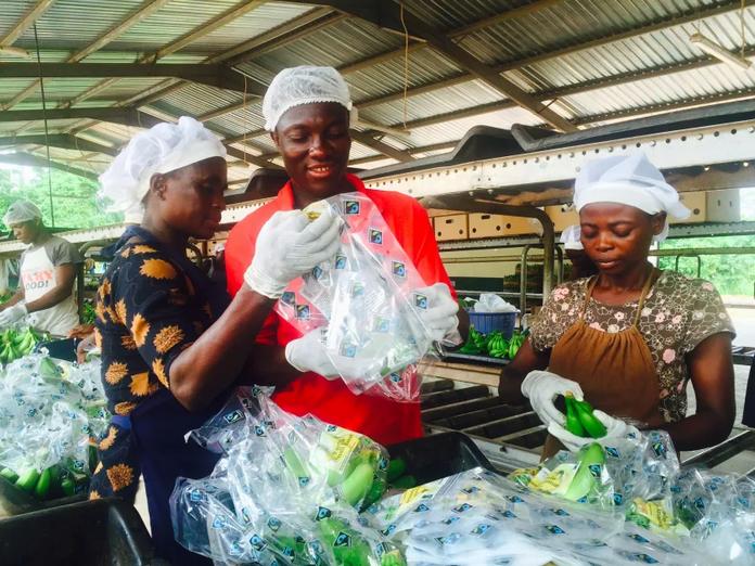 fonds de capital-investissement axé sur le genre en Afrique fonds de capital-investissement axé sur le genre en Afrique