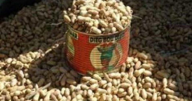 réunion du conseil national du crédit, cnc, sénégal: la campagne de commercialisation agricole des arachides, objet de vives préoccupations des membres