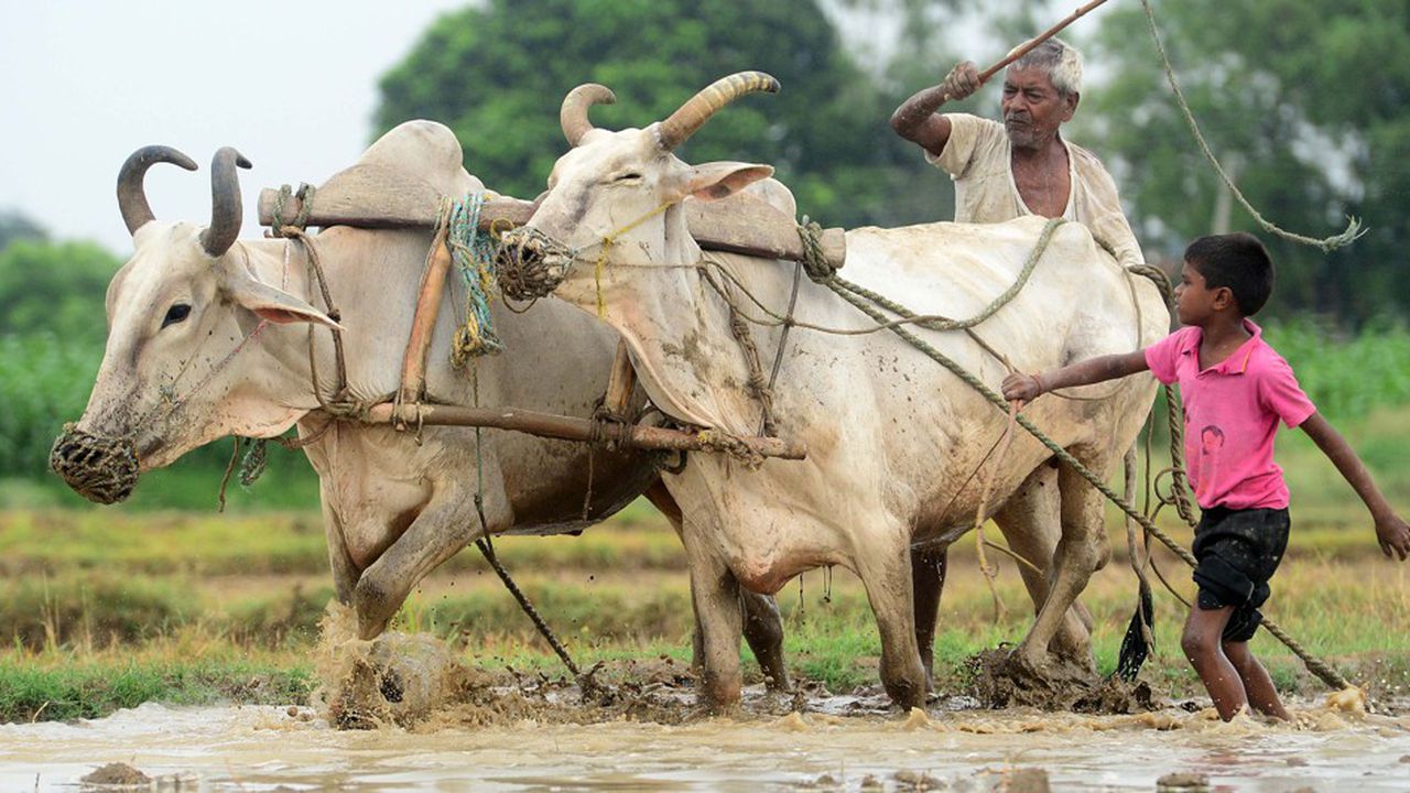 la croissance mondiale ralentira jusqu'en 2023, ajoutant au risque d'« atterrissage brutal » dans les économies en développement