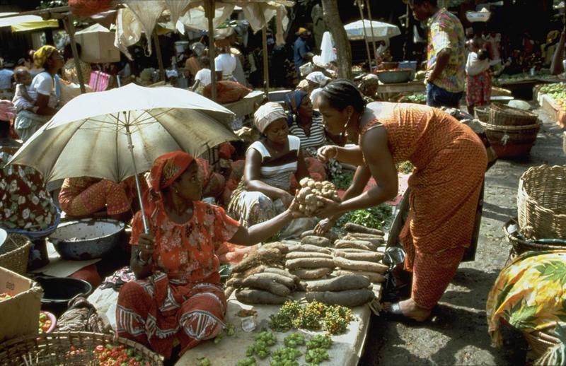 sécurité alimentaire mondiale: les nouveaux scénarios qui découlent du conflit russo-ukrainien
