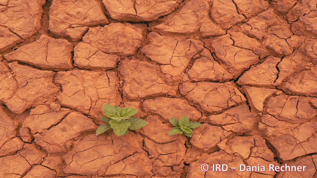 lutte contre la désertification : cop15 de la convention des nations unies (cnulcd) à abidjan du 9 au 20 mai 2022 lutte contre la désertification : cop15 de la convention des nations unies (cnulcd) à abidjan du 9 au 20 mai 2022