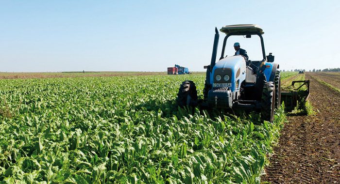 financement des campagnes de production agricole 2022 au sénégal