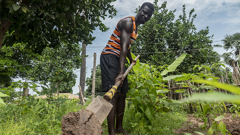 L’initiative internationale Food & Agriculture Resilience Mission L’initiative internationale Food & Agriculture Resilience Mission