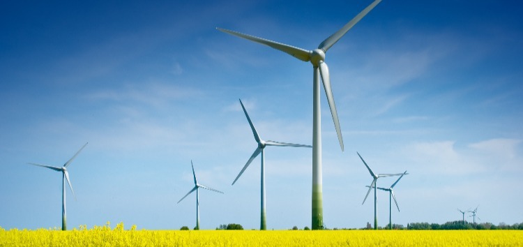 Le parc éolien de Koudia Al Baida est le plus ancien parc éolien à grande échelle d'Afrique et le premier producteur indépendant d'énergie renouvelable du Maroc.