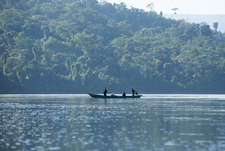 Un nouveau rapport expose la menace que fait peser l'expansion des combustibles fossiles sur les forêts tropicales africaines, essentielles pour le climat. Un nouveau rapport expose la menace que fait peser l'expansion des combustibles fossiles sur les forêts tropicales africaines, essentielles pour le climat.