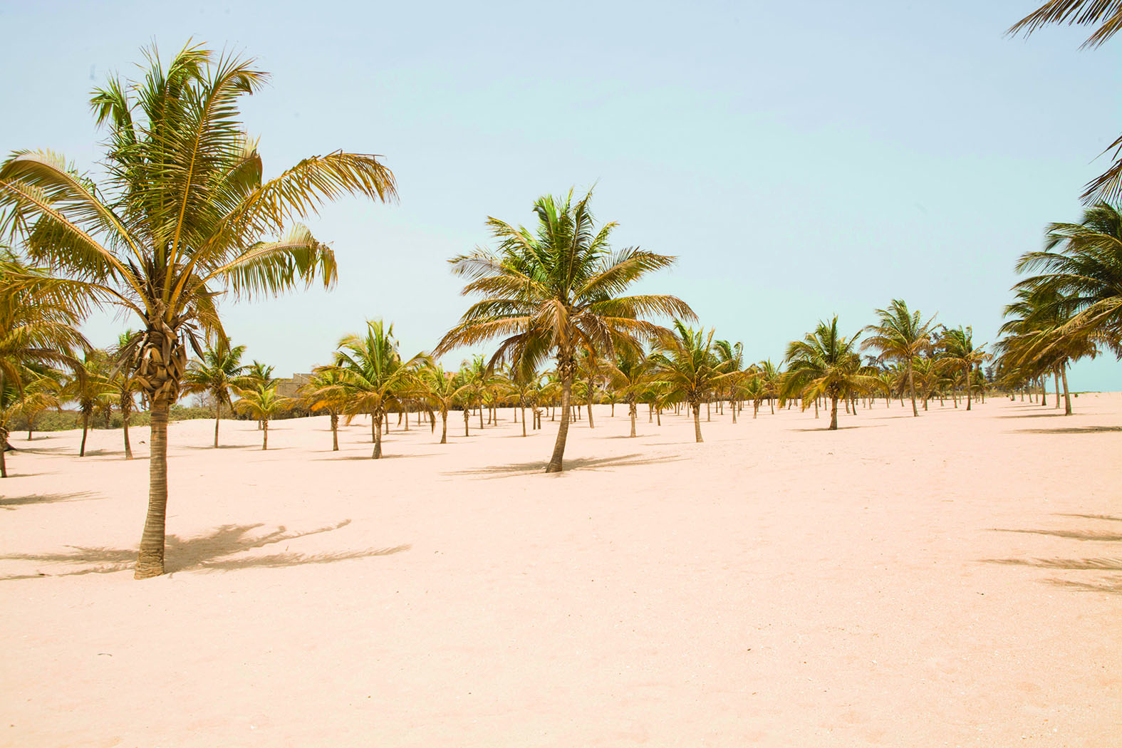 pointe saréne, mbour, sénégal : bon taux d’exécution des travaux de la station balnéaire touristique
