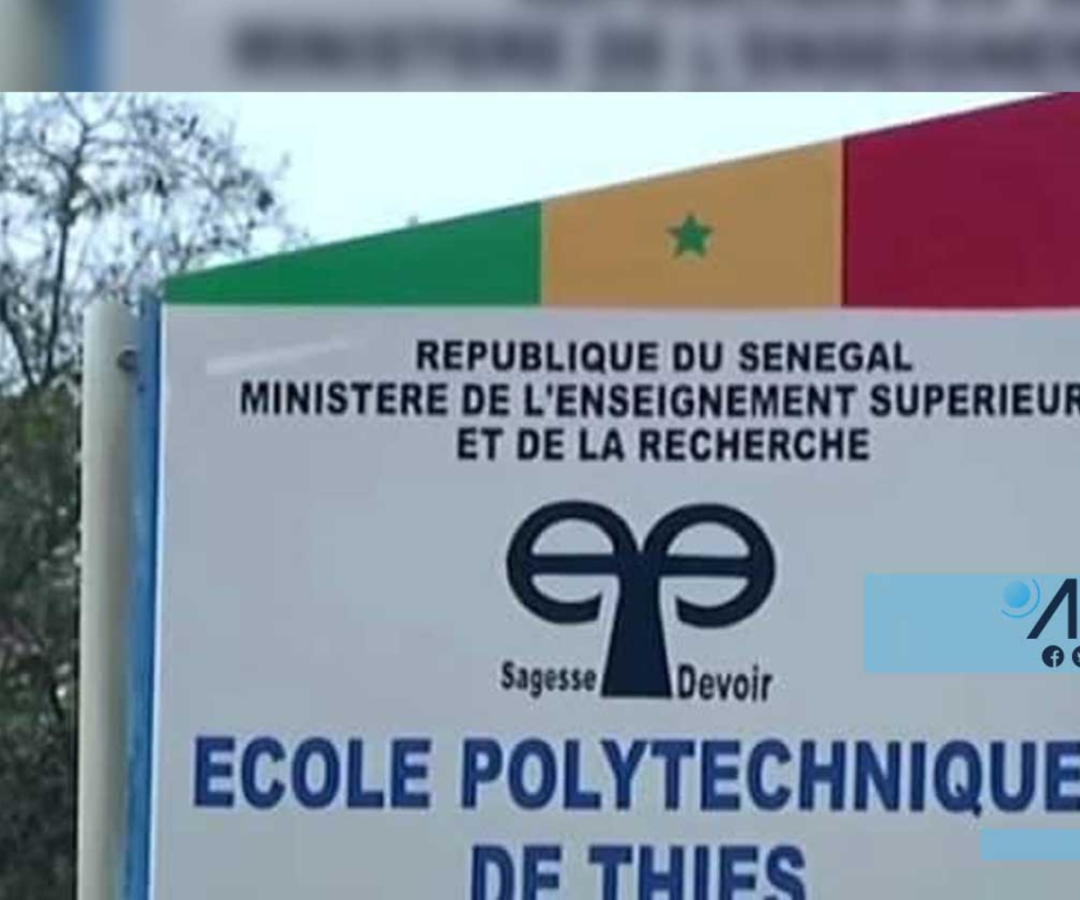 50 ans de Polytechnique : hiatus du rêve senghorien. 50 ans de Polytechnique : hiatus du rêve senghorien.