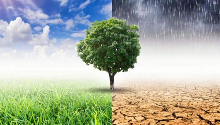 le forum économique mondial va accélérer l’action climatique multipartite à la cop28 le forum économique mondial va accélérer l’action climatique multipartite à la cop28