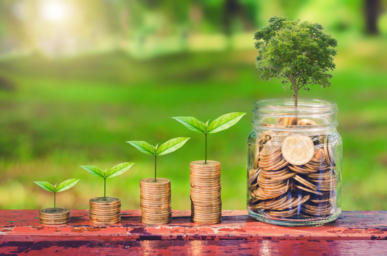 budget vert : la gouvernance climat en motion