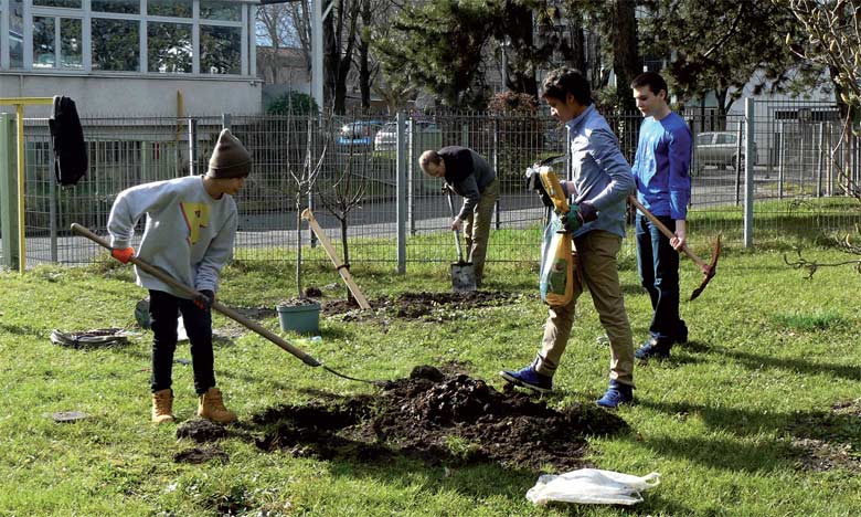 Opération de plantation d'arbres pour la protection de l'environnement. Opération de plantation d'arbres pour la protection de l'environnement.
