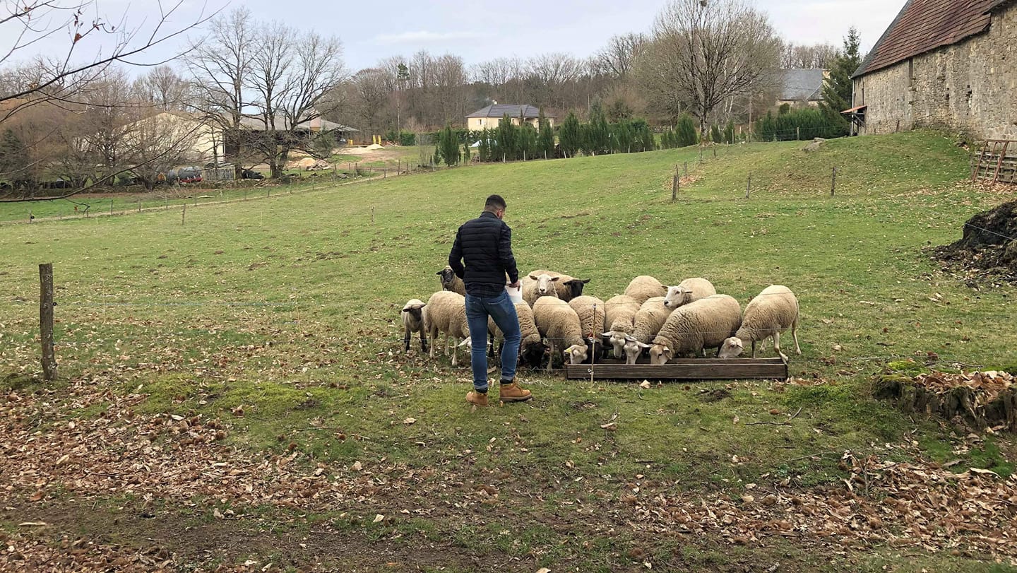 la « disparition en silence » de vastes pâturages menace le climat, l’alimentation et le bien-être (cnuld)