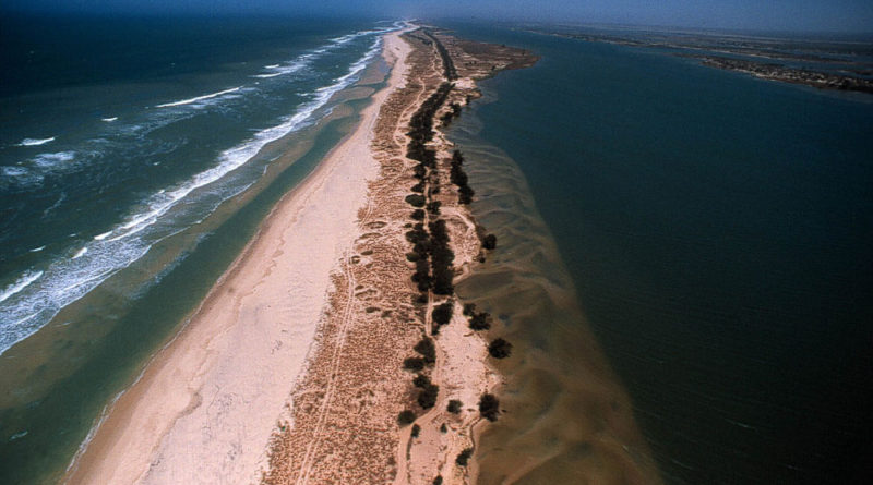exploitation du pétrole et du gaz sénégalais : les décisions du gouvernement pour une prise en charge exhaustive des risques environnementaux exploitation du pétrole et du gaz sénégalais : les décisions du gouvernement pour une prise en charge exhaustive des risques environnementaux