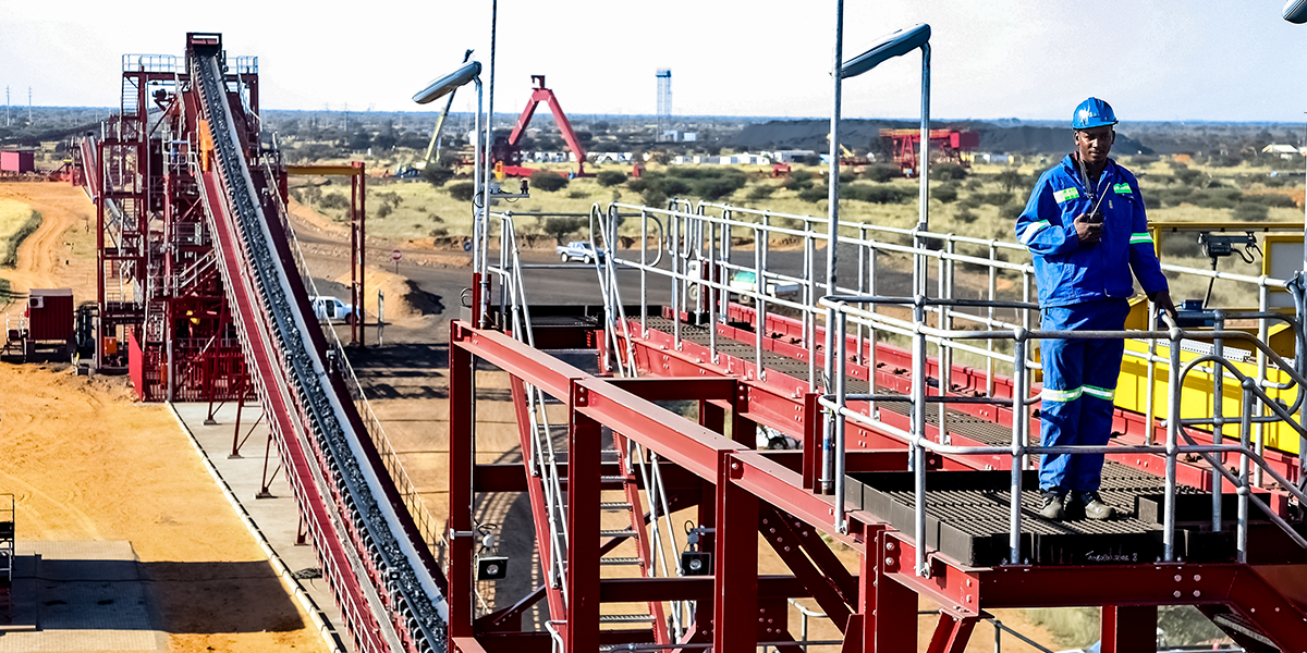 Photo : Sunshine Seeds / Shutterstock.com Photo : Sunshine Seeds / Shutterstock.com