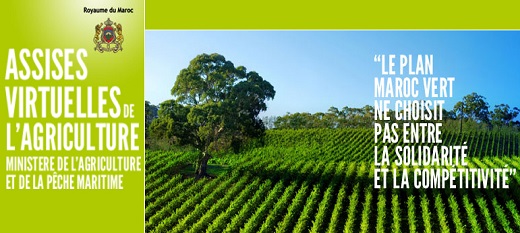 Le Plan Maroc vert bénéficie d'un nouveau appui de la Bad. Le Plan Maroc vert bénéficie d'un nouveau appui de la Bad.