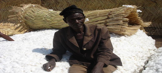 Vers de nouvelles règles pour les marchés de produits agricoles ? Vers de nouvelles règles pour les marchés de produits agricoles ?
