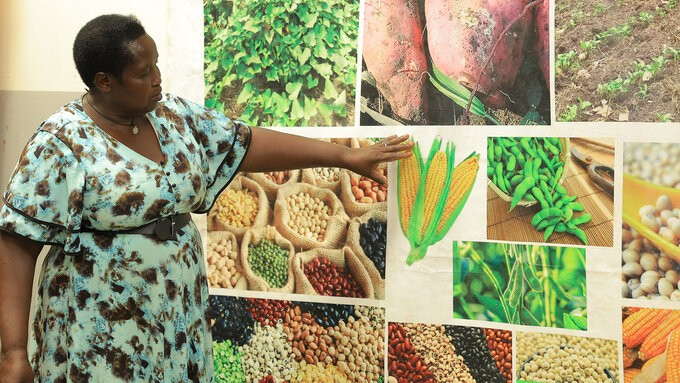 ©FAO/ Helen Lugada ©FAO/ Helen Lugada