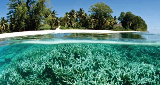 Les petits États insulaires et autres pays vulnérables peinent à accéder aux milliards nécessaires à l'adaptation climatique. Les petits États insulaires et autres pays vulnérables peinent à accéder aux milliards nécessaires à l'adaptation climatique.