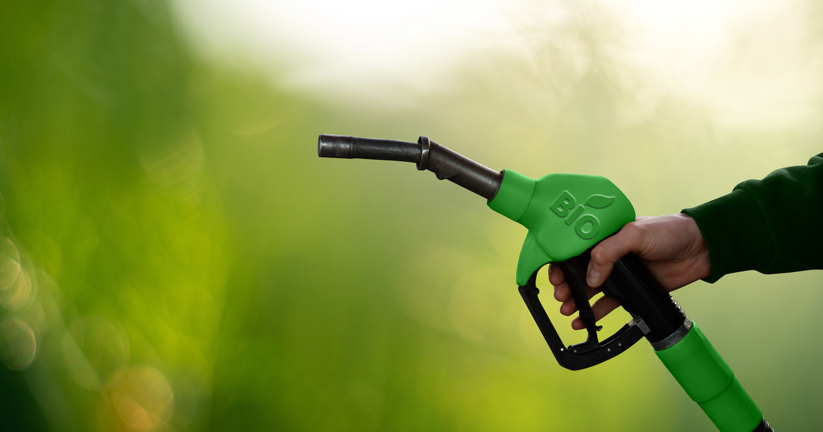 Le Sénégal lance une stratégie nationale des combustibles de cuisson propre et des biocarburants pour la période 2025-2035. Le Sénégal lance une stratégie nationale des combustibles de cuisson propre et des biocarburants pour la période 2025-2035.