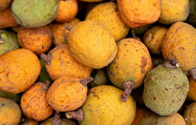 ©CIRAD/Raphael Belmin ©CIRAD/Raphael Belmin