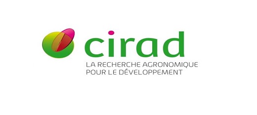 Agriculture : des prévisions climatiques adaptées à la diversité des contextes Agriculture : des prévisions climatiques adaptées à la diversité des contextes