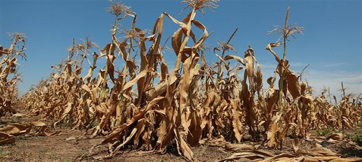 Sécheresse : une réduction de la vulnérabilité est possible, selon la Bm Sécheresse : une réduction de la vulnérabilité est possible, selon la Bm