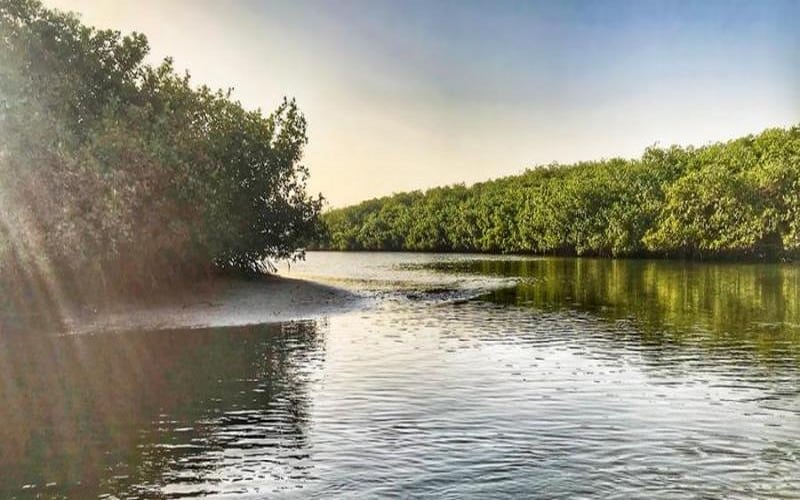 Sénégal : le compte à rebours d’IMPAC 6 lancé à la Somone