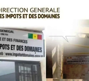 En attendant l’organigramme de l’administration fiscale gagnerait à être allégé en séparant les impôts et les domaines pour une direction centrale des impôts.