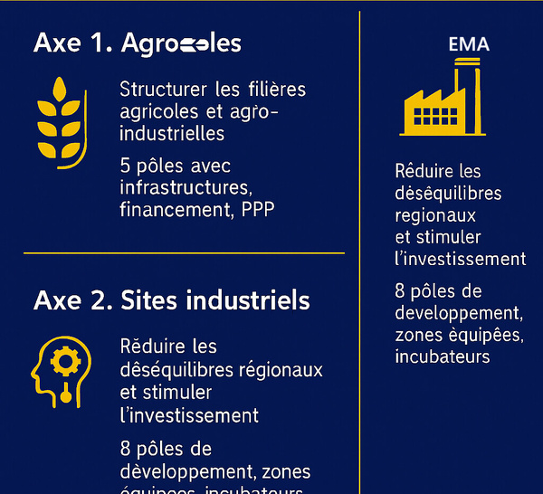 Infographie synthétique illustrant un axe stratégique du discours du Ministre Serigne Gueye Diop. Crédit : EMA - Energie & Mines Afrique.