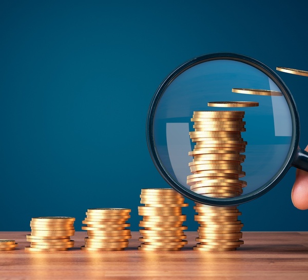 Assistance administrative fiscale : un débat révélateur des fractures Nord-Sud