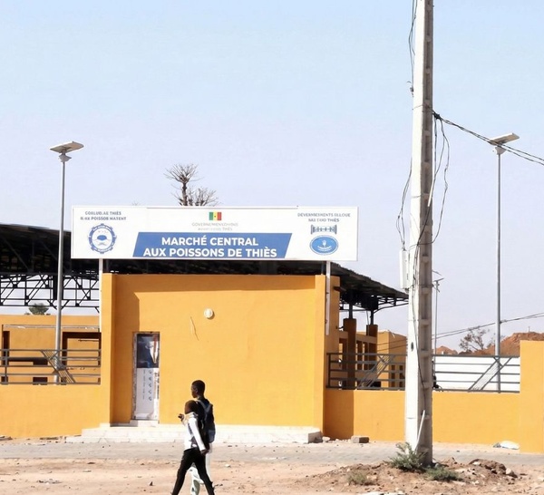 Marché central au poissons de Thiès : la mémoire des faits, la continuité de l'Etat