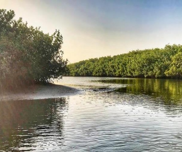 Sénégal : le compte à rebours d’IMPAC 6 lancé à la Somone