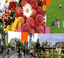 Le forum stratégique de Bled, en Slovénie, étudie la contribution du tourisme au développement durable
