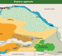 Sénégal : la pertinence et la cohérence des statistiques agricoles préoccupent les Ptf