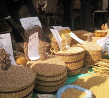 Chute des prix des produits alimentaires en 2016.