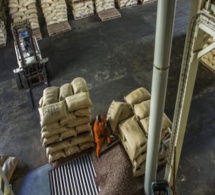 Côte d’Ivoire : un syndicat de planteurs va attaquer en justice le Conseil café-cacao