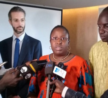 Développement de l'Afrique : Diafrik Invest pour plus d’implication la diaspora