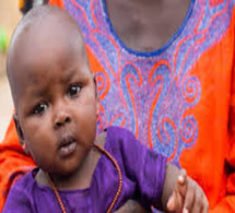 Le rapport d’évaluation du Programme de renforcement de la nutrition sera lancé ce mardi