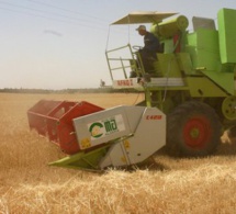 À quelles conditions l’agriculture algérienne pourrait-elle décoller ?