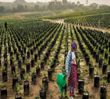 Afrique : et si le salut passait par l'agriculture Afrique : et si le salut passait par l'agriculture