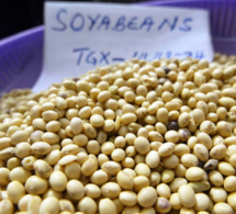 Alimentation: une croissance ralentie de la demande devrait maintenir les prix alimentaires à un bas niveau