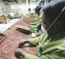 Vers de nouvelles normes internationales de sécurité alimentaire